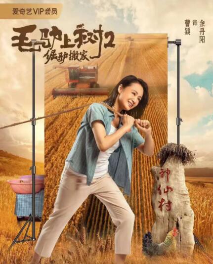 100%无遮挡